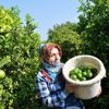 Limon hasadında yük kadınlarda