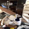 Bodrum da lüks teknede patlama Bodrum da lüks teknede patlama