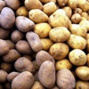 Patates spekülatörlerine para cezası