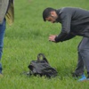 Poşet içinde bebek cesedi bulundu!