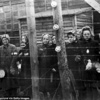 Foto Galeri: Korkunç Nazi deneyleri Foto Galeri: Korkunç Nazi deneyleri