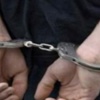 Van'da Terör Operasyonu: 15 Gözaltı