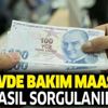 12 Kasım evde bakım maaşı yatan iller sorgulama! Bakım aylığı yatan iller nasıl öğreniliyor?