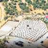 Cansız kalkan Cansız kalkan