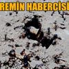 Karıncaların yiyecek telaşı tedirgin etti Karıncaların yiyecek telaşı tedirgin etti