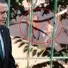 Büyükada’dan isyan ettiren görüntüler!