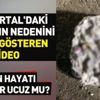 Kartal'da yıkılan binanın kolonundan deniz kabuğu çıktı! İşte o görüntüler...