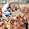 Hobi olarak başladı, tavuk çiftliği kurdu
