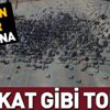 HDP'ye Mardin'de halk tokadı HDP'ye Mardin'de halk tokadı