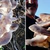 Gezinirken buldu, görünce şok oldu. Tam 5 kilo 624 gram Gezinirken buldu, görünce şok oldu. Tam 5 kilo 624 gram