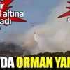 İzmir Foça'daki yangına müdahale devam ediyor İzmir Foça'daki yangına müdahale devam ediyor