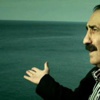Seyfi Doğanay hayatını kaybetti