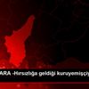 DHA ANKARA -Hırsızlığa geldiği kuruyemişçiyi bıçakladı