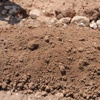 Suruç bombacısının parçalanmış cesedini ailesi kabul etmeyince....