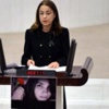 'Şiddete karşı önce Ankara ve İzmir'de uygulanacak'
