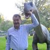 Gökçek’in dinozorları göç etti Gökçek’in dinozorları göç etti