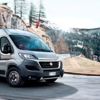 Ducato’ya büyük ödül! Ducato’ya büyük ödül!