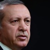 Erdoğan'dan, "1 Kasım'da seçim" açıklaması Erdoğan'dan, "1 Kasım'da seçim" açıklaması