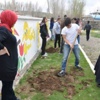 Bulanık’ta Fidan Dikimi Bulanık’ta Fidan Dikimi
