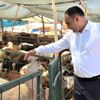 Toroslar Belediyesi, kurban satış ve kesim yerleri ...