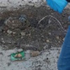 Van'da bir okulun önünde bomba bulundu!