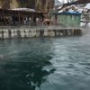 Kato Dağı’ndaki kaplıca ziyaretçilerin akınına uğradı Kato Dağı’ndaki kaplıca ziyaretçilerin akınına uğradı