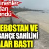 ﻿Caddebostan ve Fenerbahçe sahilini salyalar bastı. Sahile inenler korkudan geri döndü