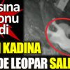 ﻿Yaşlı kadına evinde leopar saldırdı