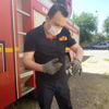 Yavru serçeyi itfaiye kurtardı