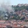 İstanbul'da ağaçlık alanda yangın İstanbul'da ağaçlık alanda yangın
