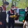 Yavru ayıya Jandarma şefkati Yavru ayıya Jandarma şefkati