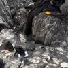 İntihar notu bıraktı. Denize atladı