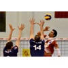 Erkekler Voleybol 1. Lig Erkekler Voleybol 1. Lig