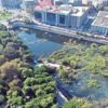 Kültürpark, Folkart’ın arka bahçesi olamaz Kültürpark, Folkart’ın arka bahçesi olamaz