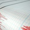 Meksika'da 6,6 büyüklüğünde deprem meydana geldi