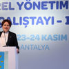 Meral Akşener: 'Balıkesir'e çok üzüldüm, Muş'a çok sevindim'