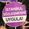 6284 sayılı kanun nedir?