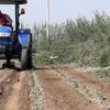 Atçalı çiftçiler üretime devam etti Atçalı çiftçiler üretime devam etti