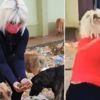 Mamaları çalan hırsız bin pişman oldu! Mamaları çalan hırsız bin pişman oldu!