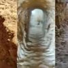 YPG/PKK Suriye'nin kuzeyinde tünel kazıyor YPG/PKK Suriye'nin kuzeyinde tünel kazıyor