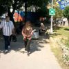 Millet can derdinde siz üçkağıt! Millet can derdinde siz üçkağıt!