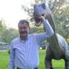 Melih Gökçek'e dinozor darbesi Melih Gökçek'e dinozor darbesi