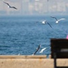 Hafta sonu hava nasıl olacak? Hafta sonu hava nasıl olacak?