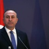 Çavuşoğlu'ndan kritik vize açıklaması