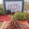Efsanelere konu olmuştu! İlk hasadı gerçekleşti Efsanelere konu olmuştu! İlk hasadı gerçekleşti