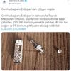 AA'nın "Erdoğan'dan çiftçiye müjde" haberindeki veriler 'gerçek değil' AA'nın "Erdoğan'dan çiftçiye müjde" haberindeki veriler 'gerçek değil'