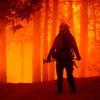 California'daki orman yangınlarında bu yıl rekor düzeyde alan yandı California'daki orman yangınlarında bu yıl rekor düzeyde alan yandı