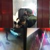 Ellerindeki döner bıçaklarıyla dükkanın camlarını böyle kırdılar Ellerindeki döner bıçaklarıyla dükkanın camlarını böyle kırdılar