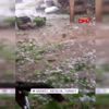 Antalya da ceviz büyüklüğünde dolu yağdı Antalya da ceviz büyüklüğünde dolu yağdı