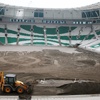 Timsah Arena'da sıra çimlerde